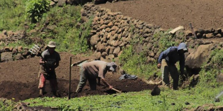 Agricultores de países pobres tienen más impacto económico por las medidas climáticas