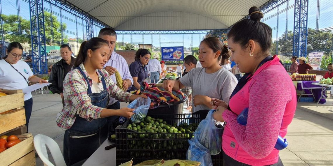 Feria del Agricultor ha beneficiado a más de 56 mil 500 compradores