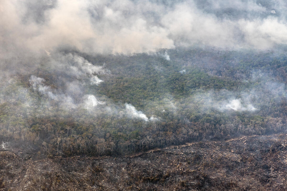 Los incendios forestales y la extracción de madera contribuyen a la degradación en la Amazonía brasileña.