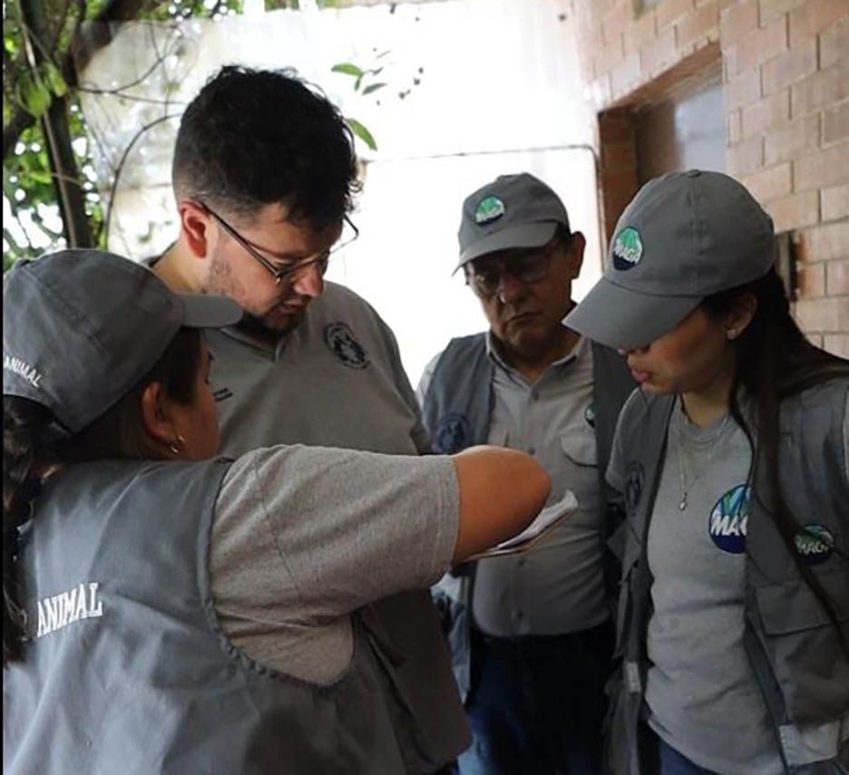 Unidad de Bienestar Animal (UBA) investiga muertes de gatos en el hospital. / Foto: MAGA.