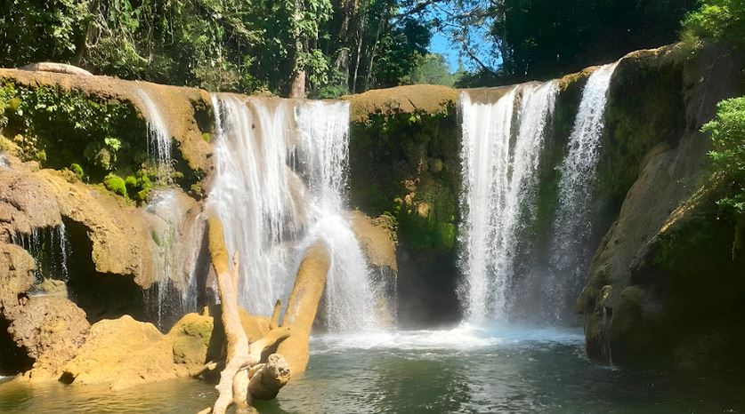 Recuerdan la importancia de la protección de los bosques en Petén