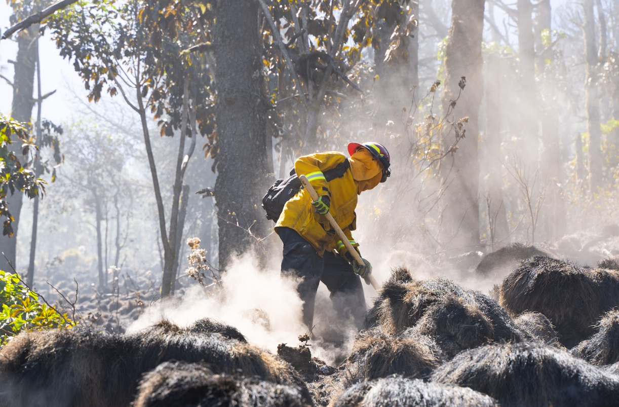 Conap destaca creación de informe sobre daños del fuego. / Foto: Archivo SCSP.