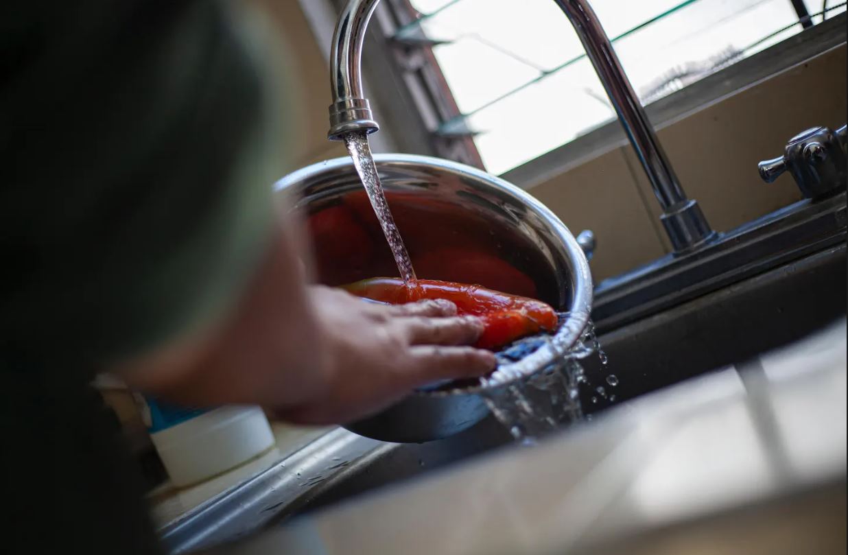 Es fundamental adquirir productos de calidad y lavar frutas y verduras antes de consumirlas. / Foto: MSPAS.