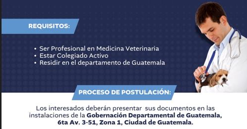 Lanzan convocatoria abierta para profesional en medicina veterinaria para la ciudad de Guatemala