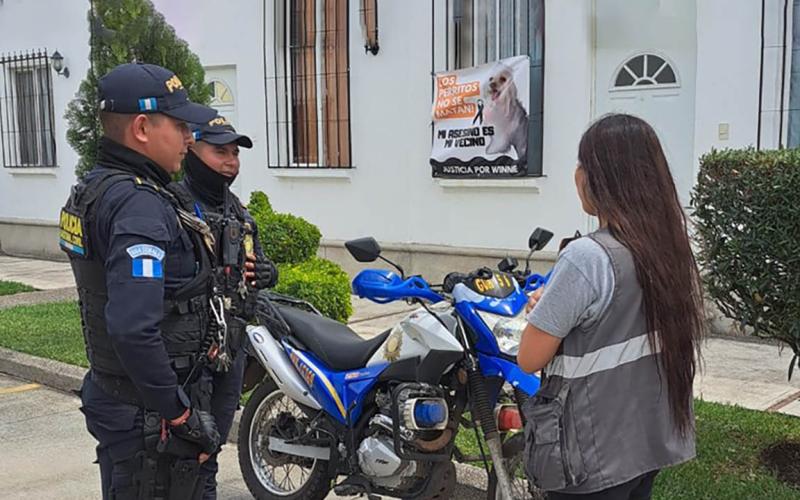 Bienestar Animal notifica a denunciado por envenenamiento de animales domésticos. / Foto: MAGA.
