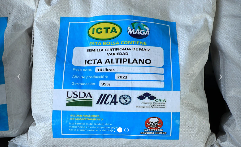 ICTA-Altiplano: más grano, más producción y mejor calidad de tortilla