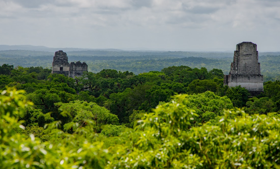Conap cumple 36 años en el resguardo de la biodiversidad. (Foto: Conap)