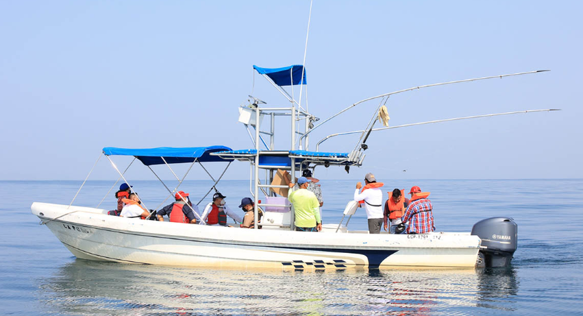 Las vedas de pesca representan un esfuerzo conjunto para equilibrar la actividad pesquera con la conservación ambiental. / Foto: MAGA