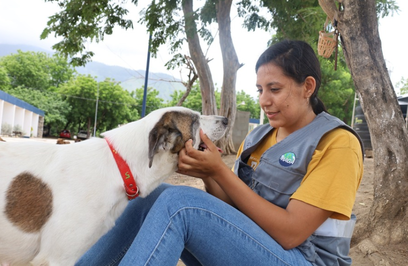 Cada acción cuenta cuando se trata de proteger a los animales. / Foto: MAGA.