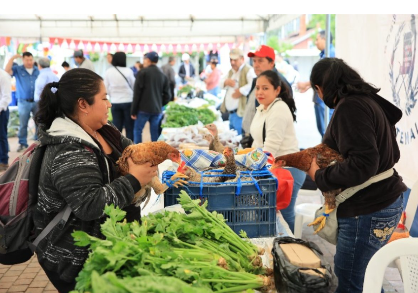 Una iniciativa gubernamental para apoyar a los consumidores. / Foto: Gobierno