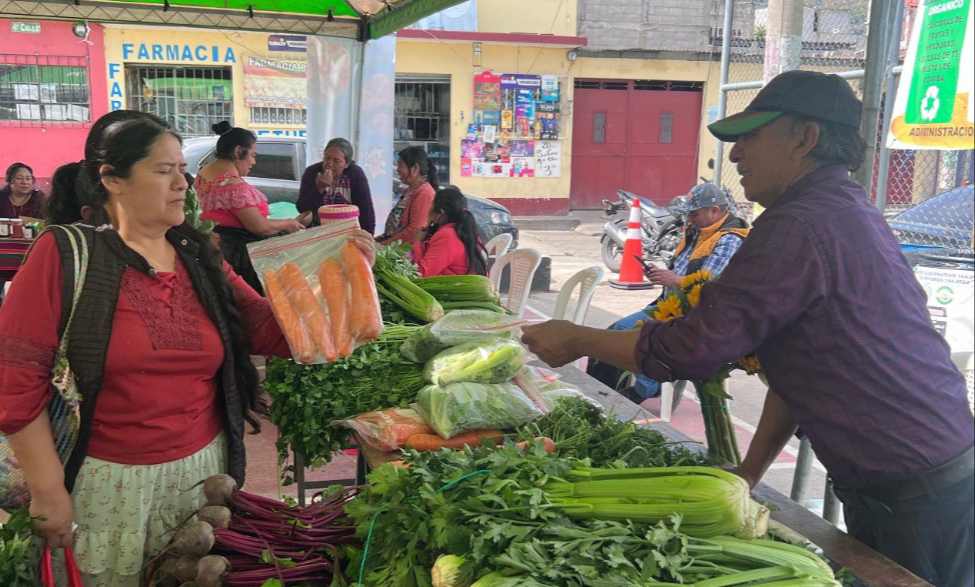 Este tipo de ferias representan una oportunidad valiosa para los agricultores. / Foto: MAGA