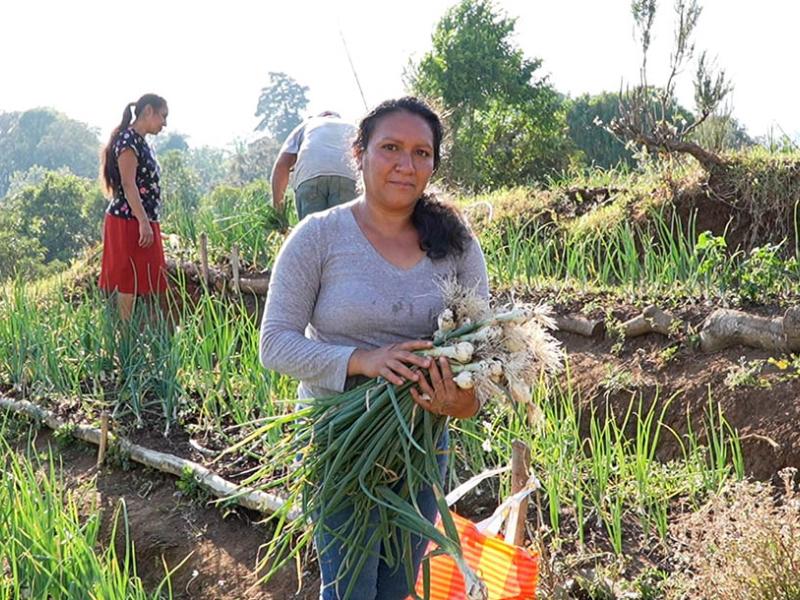 Los huertos comunitarios mejoran la nutrición y la vida de las familias