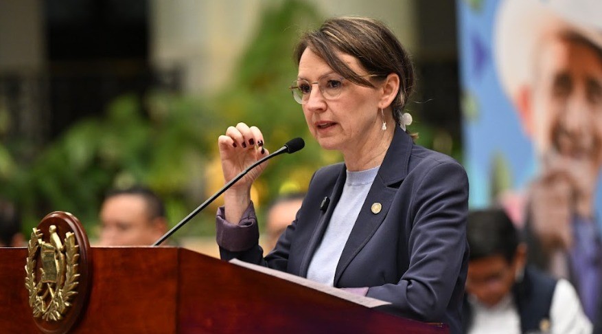 Ministra de Ambiente y Recursos Naturales presentó Programa de Reducción de Emisiones.