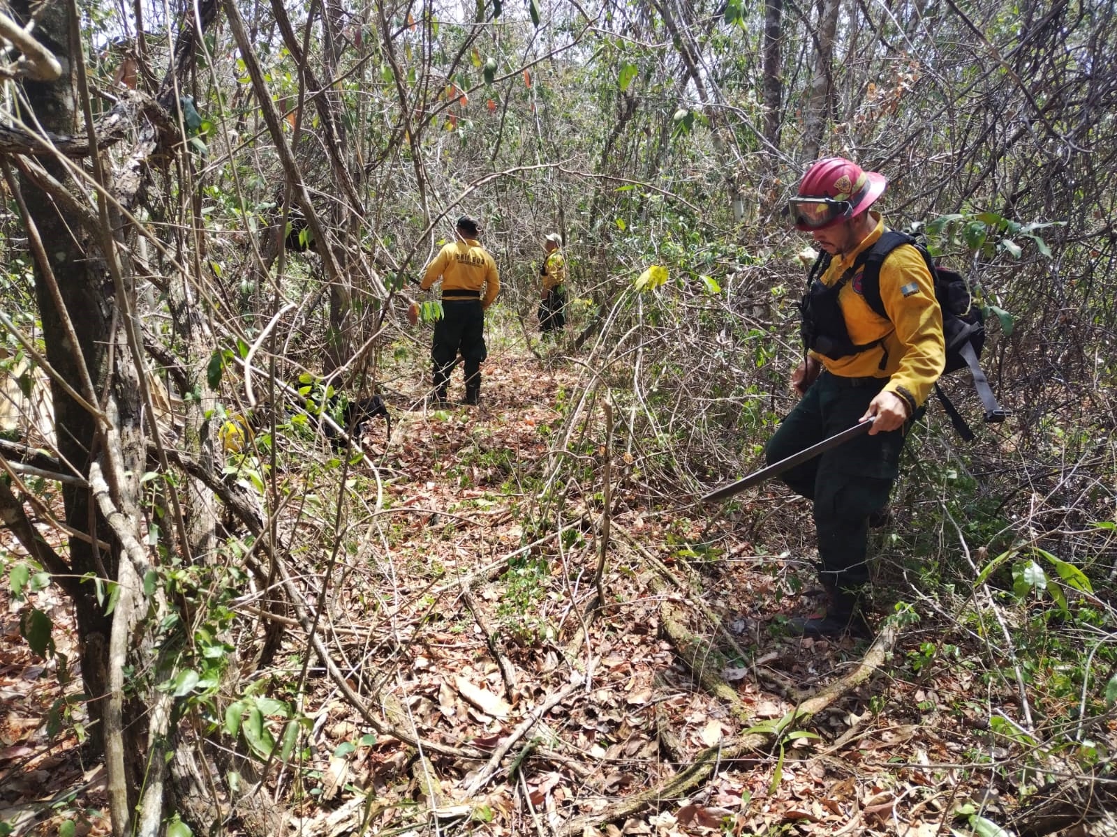 Instan a reforzar esfuerzos contra incendios forestales en Petén