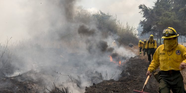 Conred mantiene acciones en liquidación de incendios