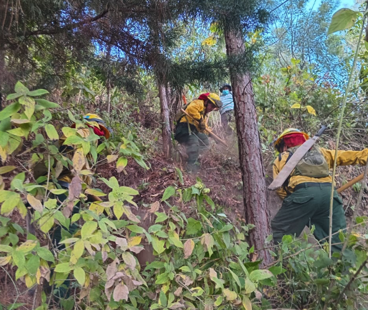 Combaten incendio en el volcán de Agua. / Foto: Conred.
