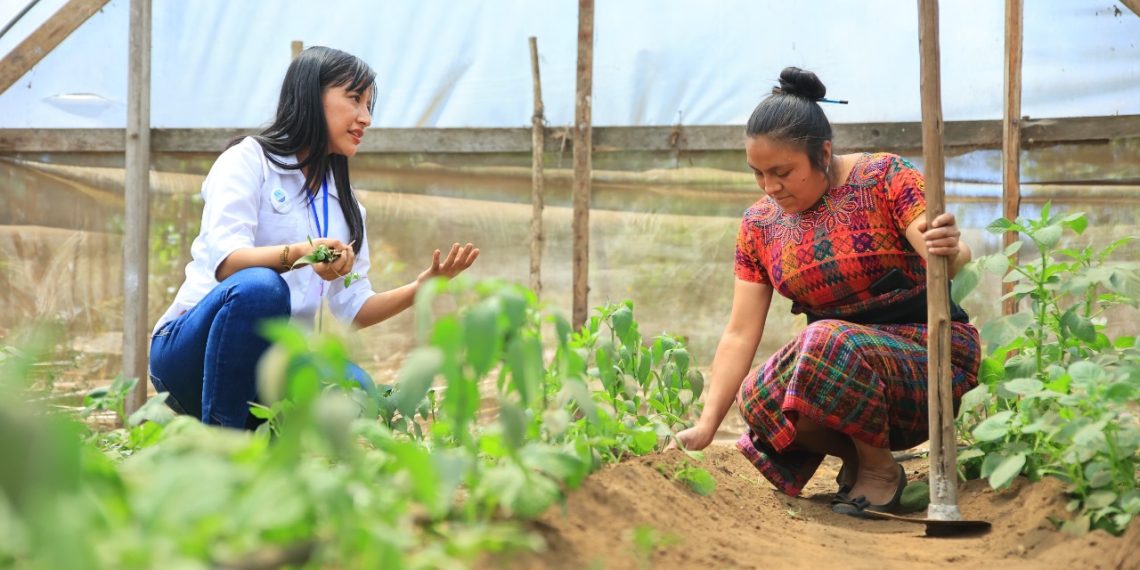 FAO busca con Guatemala modelos agroalimentarios para reducir impacto ambiental