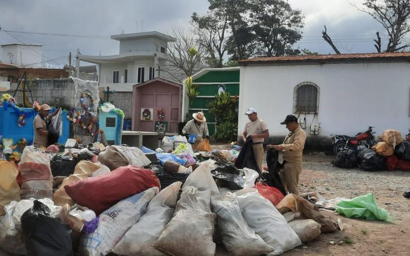 Alevines son una solución sostenible contra el dengue. / Foto: MSPAS.