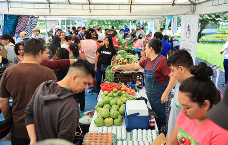 Primera feria del agricultor del año en la capital