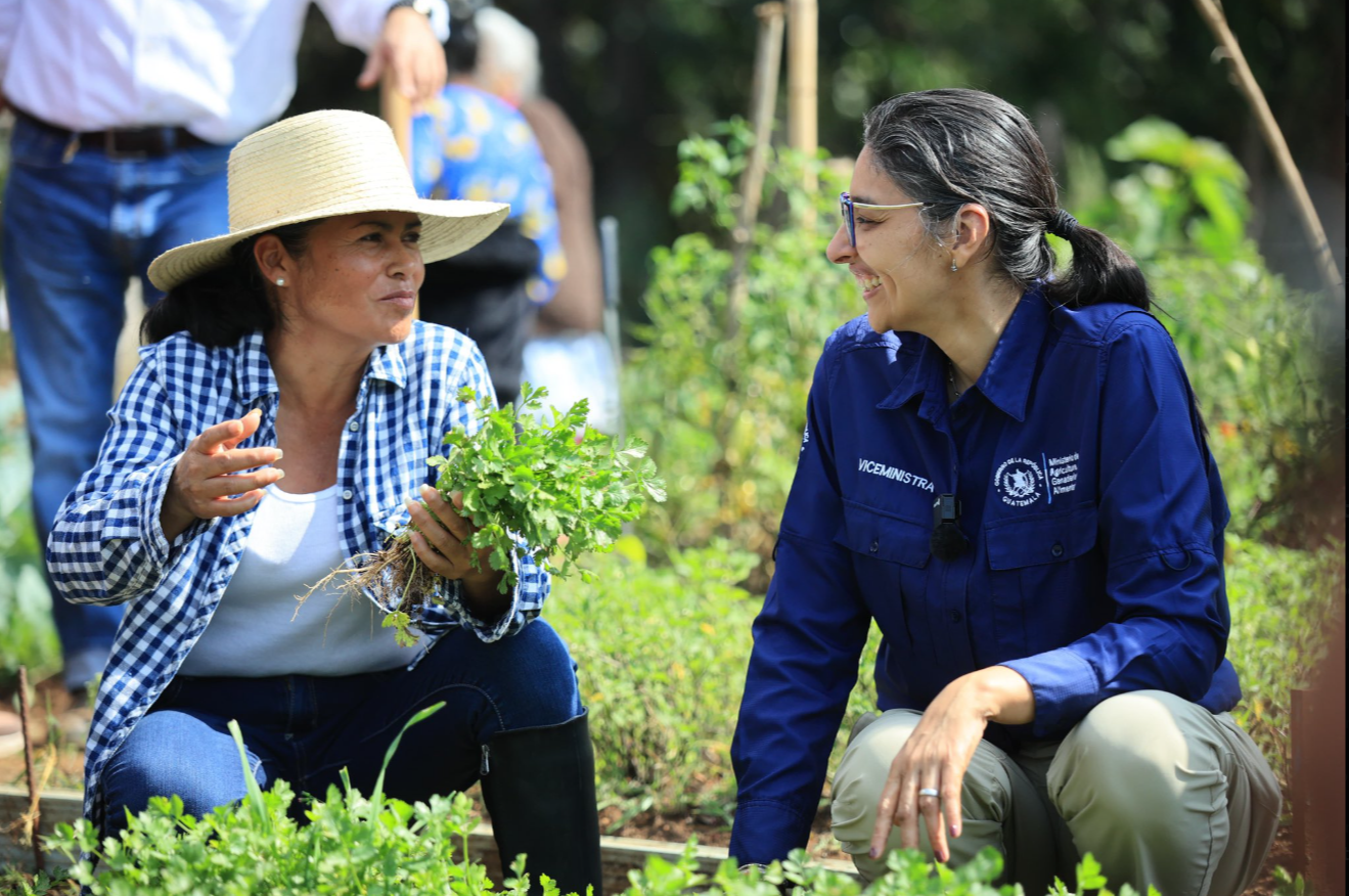 Gobierno fortalece la agricultura femenina con entrega de herramientas. / Foto: MAGA