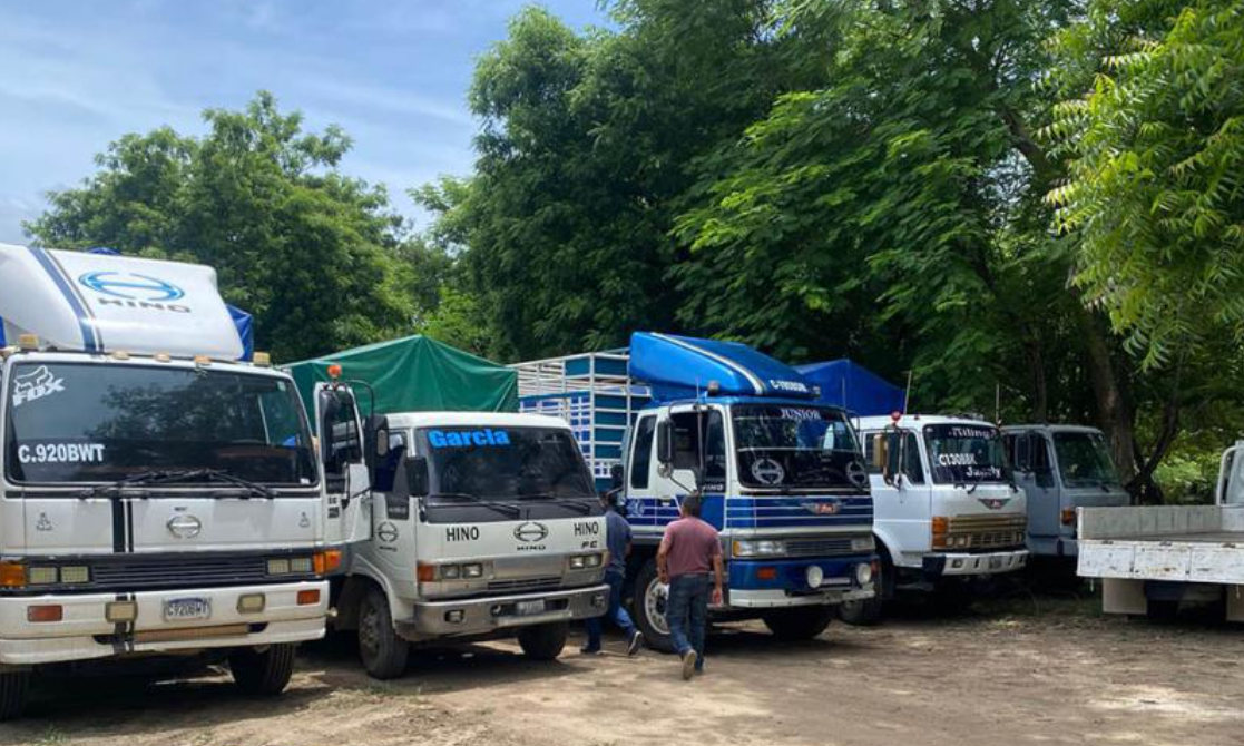MAGA emite más de mil 300 licencias sanitarias para transporte de alimentos en Guatemala
