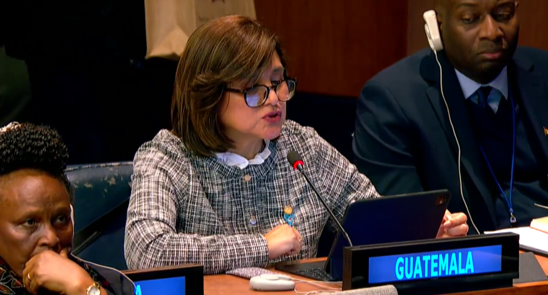 Vicepresidenta ante la ONU: “Cuando una mujer avanza, avanzamos todas”