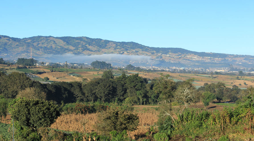 Con esta asamblea, Guatemala reafirma su compromiso de promover acciones concretas para hacer frente al cambio climático en el sector agrícola. / Foto: MAGA.