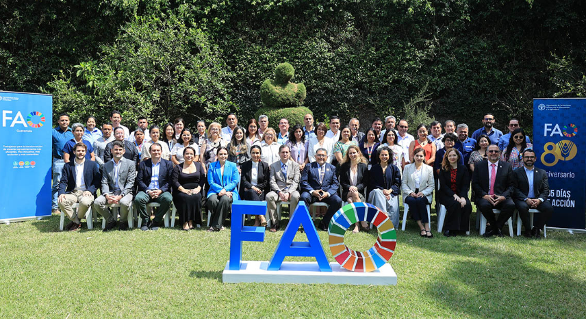 Con un enfoque basado en la cooperación y la planificación estratégica, la FAO y el gobierno de Guatemala continúan fortaleciendo la agricultura. / Foto: MAGA