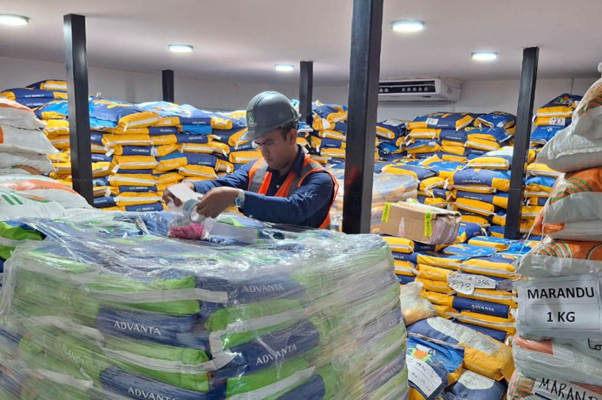 La demanda de semillas guatemaltecas en el extranjero abre la puerta a nuevos mercados. / Foto: MAGA