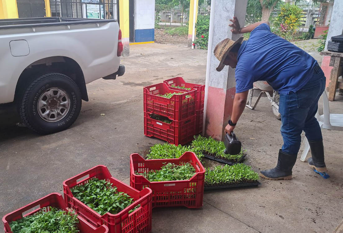 Los beneficiarios de esta entrega de pilones han sido previamente capacitados en el manejo de los sistemas de riego y producción bajo condiciones controladas. / Foto: MAGA.