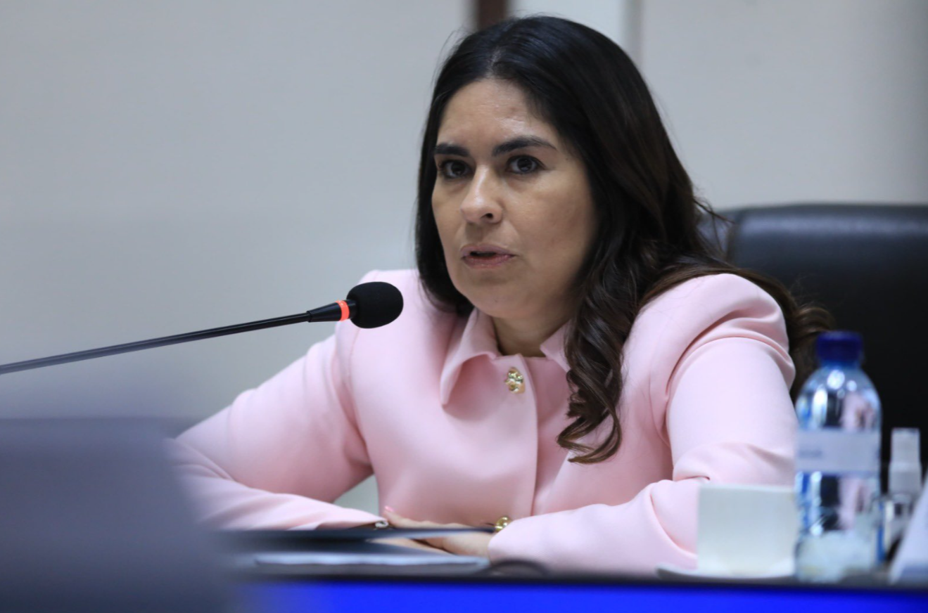 Viceministra Palencia destaca que los operativos para detectar vehículos en situación irregular continuarán