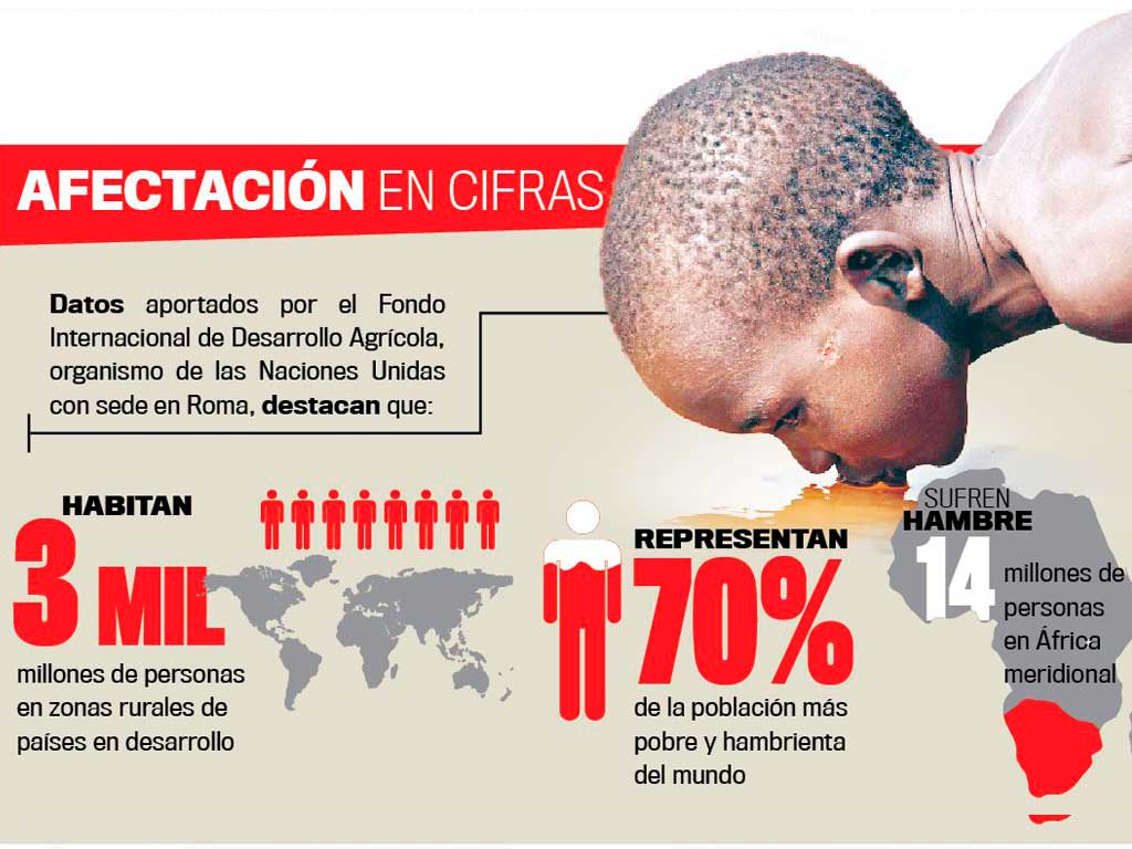 Desnutrición afecta a millones de niños. / Imagen: Servindi.