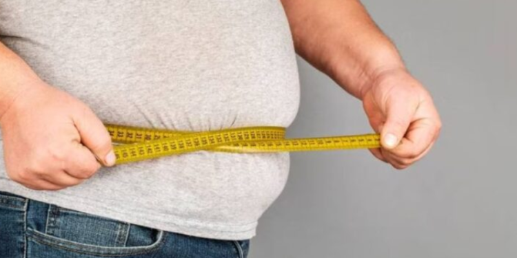 Identifican genes que hacen que humanos y perros labradores sean propensos a la obesidad
