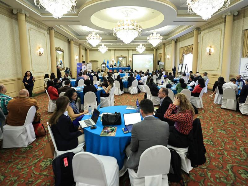 La FAO asegura que Guatemala es clave para la aplicaciónd e Global Roadmap como herramienta para la seguridad alimentaria.