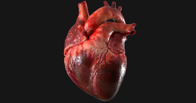 Inteligencia artificial mediría edad biológica del corazón humano. / Foto: Medicina y Salud Pública.
