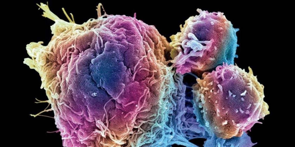 Científicos chinos crean bacterias modificadas para combatir tumores con luz infrarroja