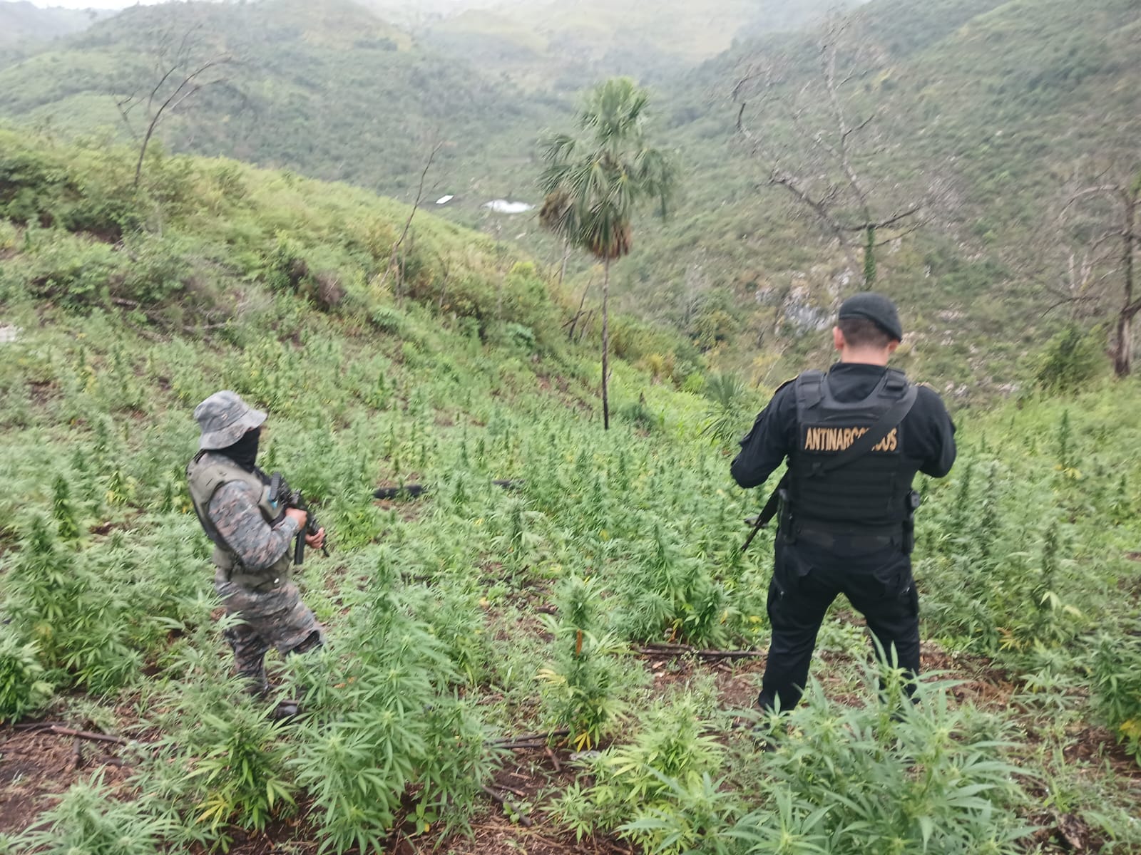 Las autoridades mantienen acciones contra el narcotráfico en diferentes departamentos.