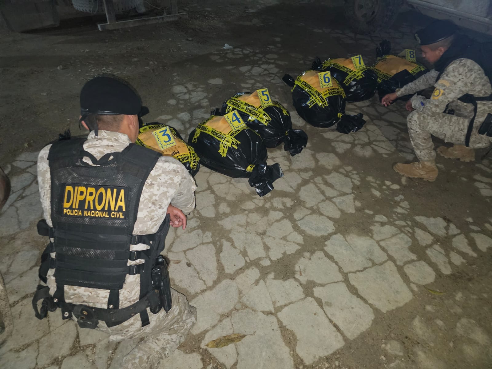 Diprona incauta 800 libras de resina de copal en Petén