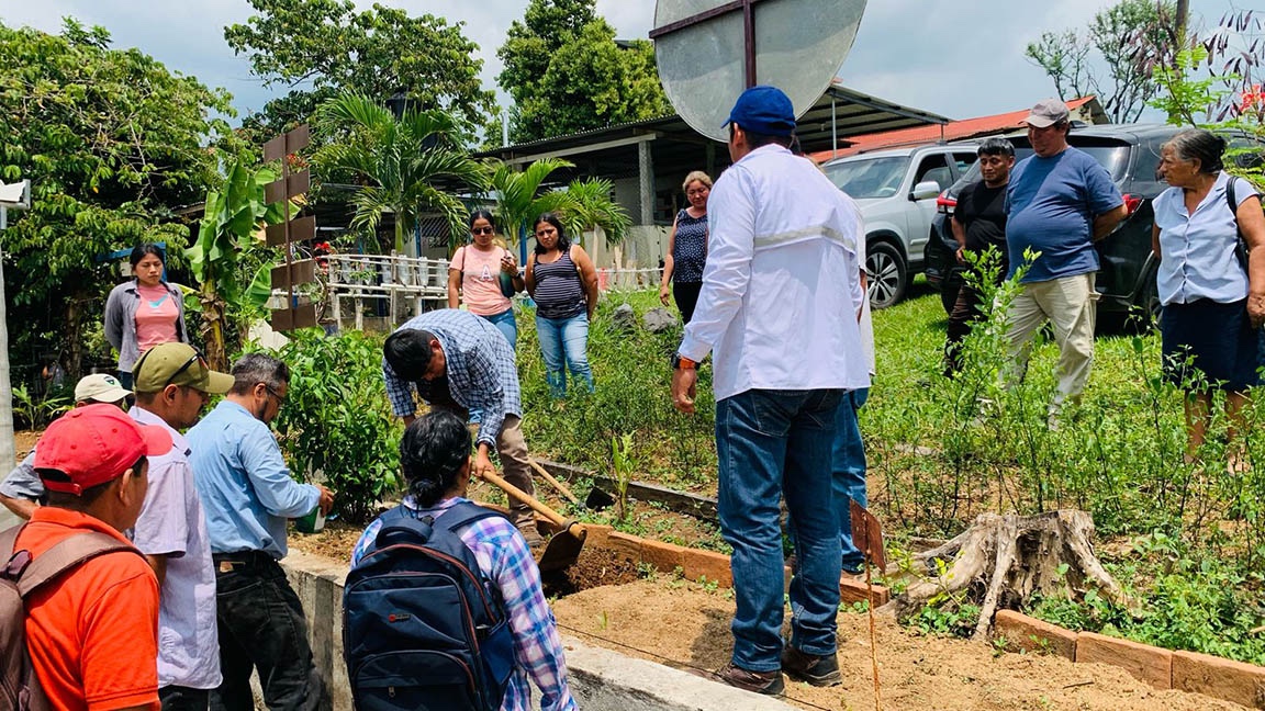 Los estudiantes pusieron manos a la obra sembrando pepino, uno de los cultivos de gran valor dentro del Programa de Alimentación Escolar. / Foto: MAGA.