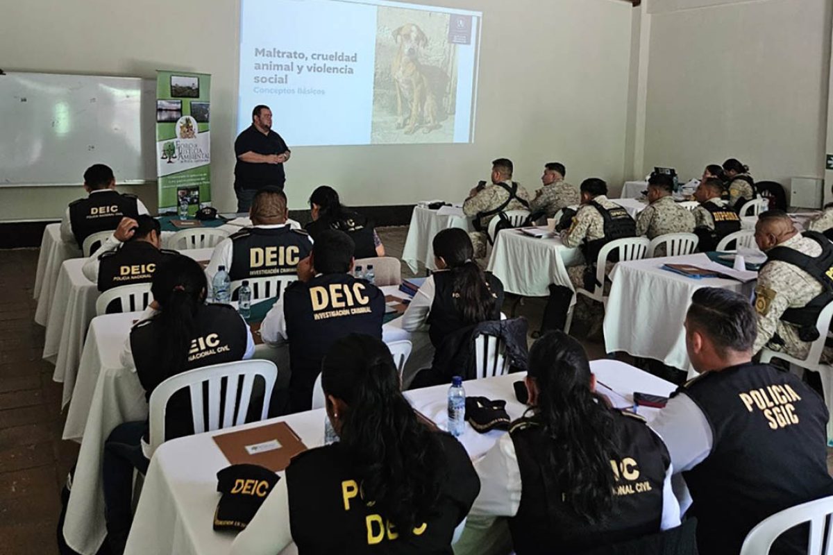Estos espacios de capacitación permiten reforzar el compromiso de las instituciones con la protección de la fauna. / Foto: MAGA
