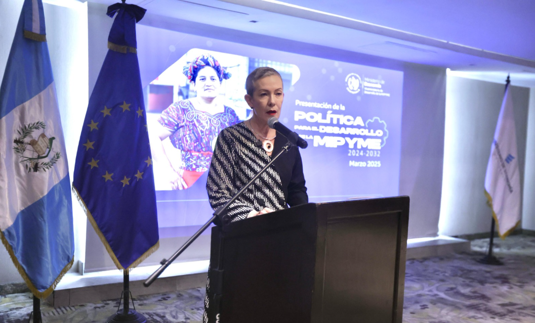 Presentan la Política para el Desarrollo de la microempresa, pequeña y mediana Empresa 2024-2032