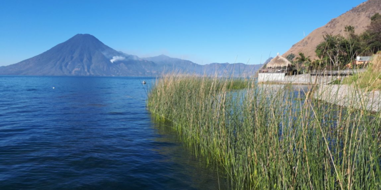 Ministerio de Ambiente y Conap denuncian el cultivo de tilapia en el lago de Atitlán