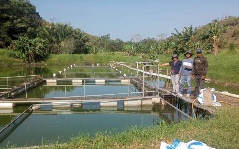 Se fortalece la producción acuícola en Petén