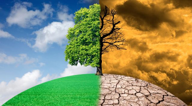 Cambio climático agravará el problema mundial de la resistencia a los antimicrobianos