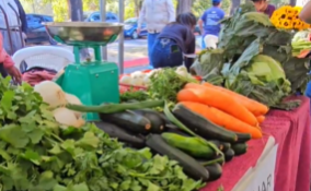 Feria del Agricultor será llevada a cabo en Plaza Barrios, zona 1. /Foto: MAGA.