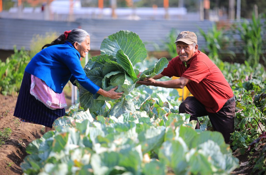 Crédito Tob'anik está dirigido específicamente a pequeños y medianos productores agrícolas guatemaltecos. / Foto: MAGA.