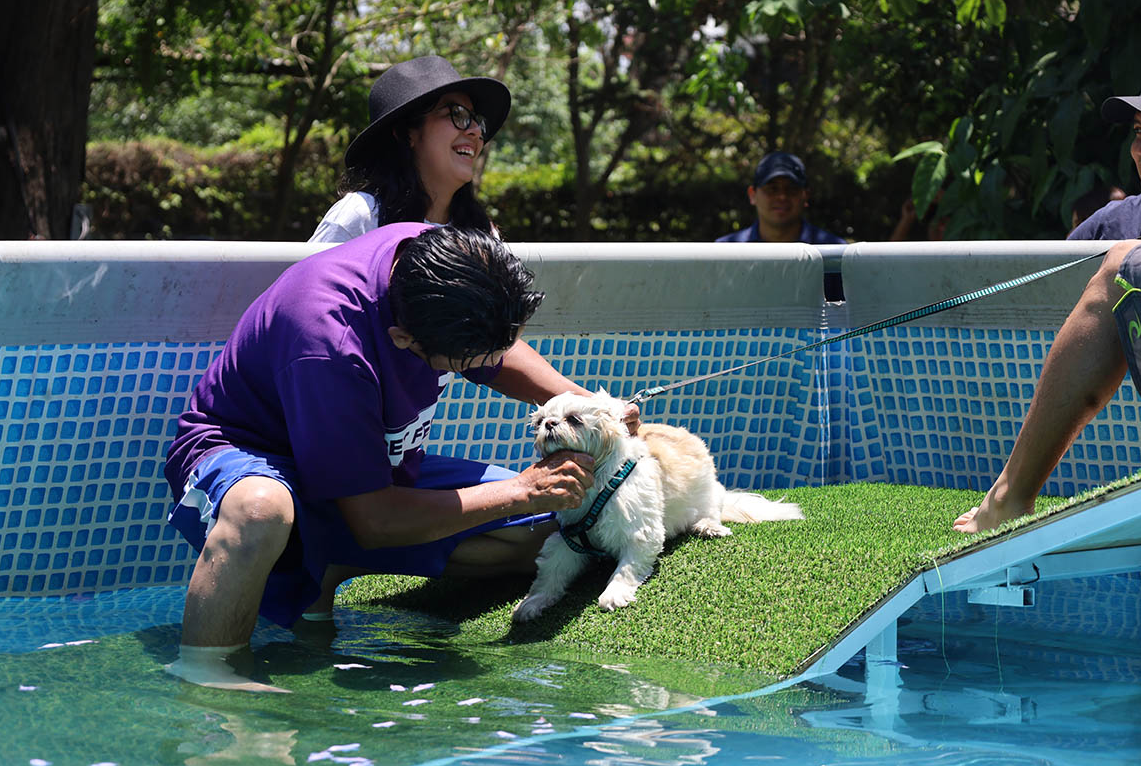 Uno de los aspectos más valorados por los visitantes fue la explicación detallada sobre cómo actuar ante casos de maltrato animal. / Foto: MAGA