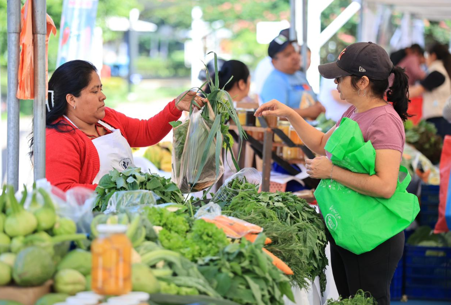 Del campo a tu mesa: feria del agricultor ofrece frescura y buenos precios en la zona 1
