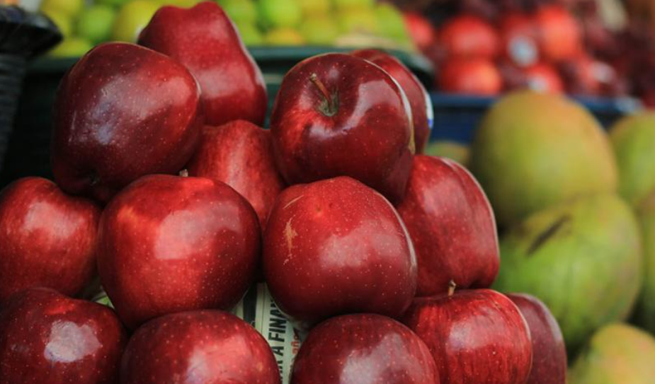 MAGA emite más de 2 mil permisos de importación agrícola en 2025