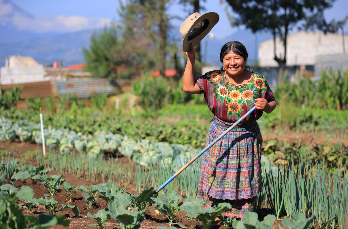 Esta medida está diseñada para extender los beneficios financieros a productores rurales que enfrentan mayores limitaciones para acceder a recursos económicos. / Foto: MAGA